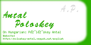 antal poloskey business card